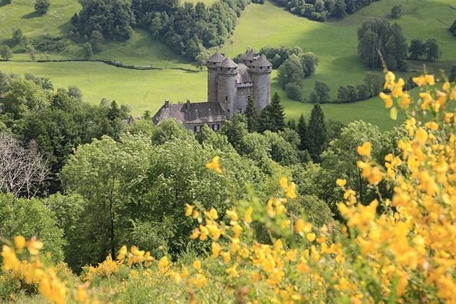 Chateau d'Anjony Chateau d'Anjony